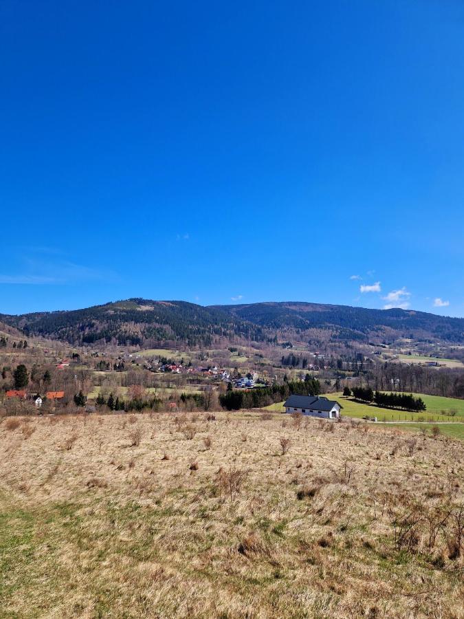 Apartament Mountains Gory Sowie Jugów 外观 照片