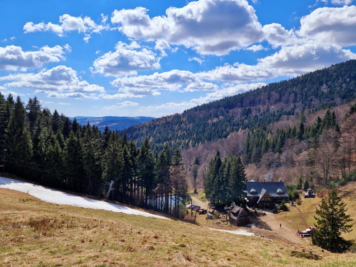 Apartament Mountains Gory Sowie Jugów 外观 照片