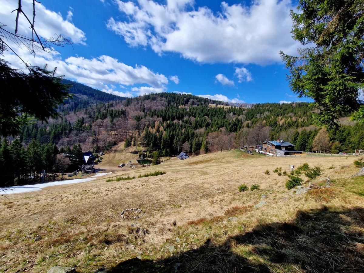 Apartament Mountains Gory Sowie Jugów 外观 照片