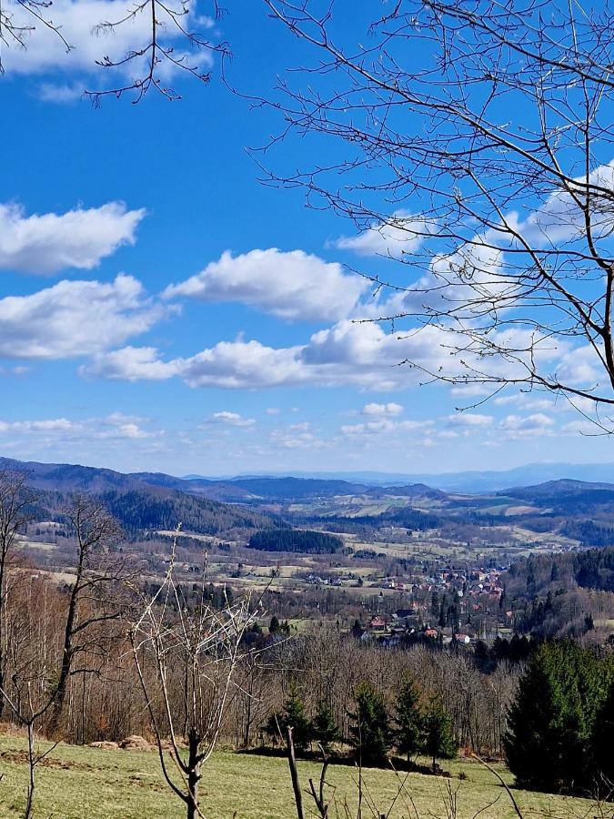 Apartament Mountains Gory Sowie Jugów 外观 照片