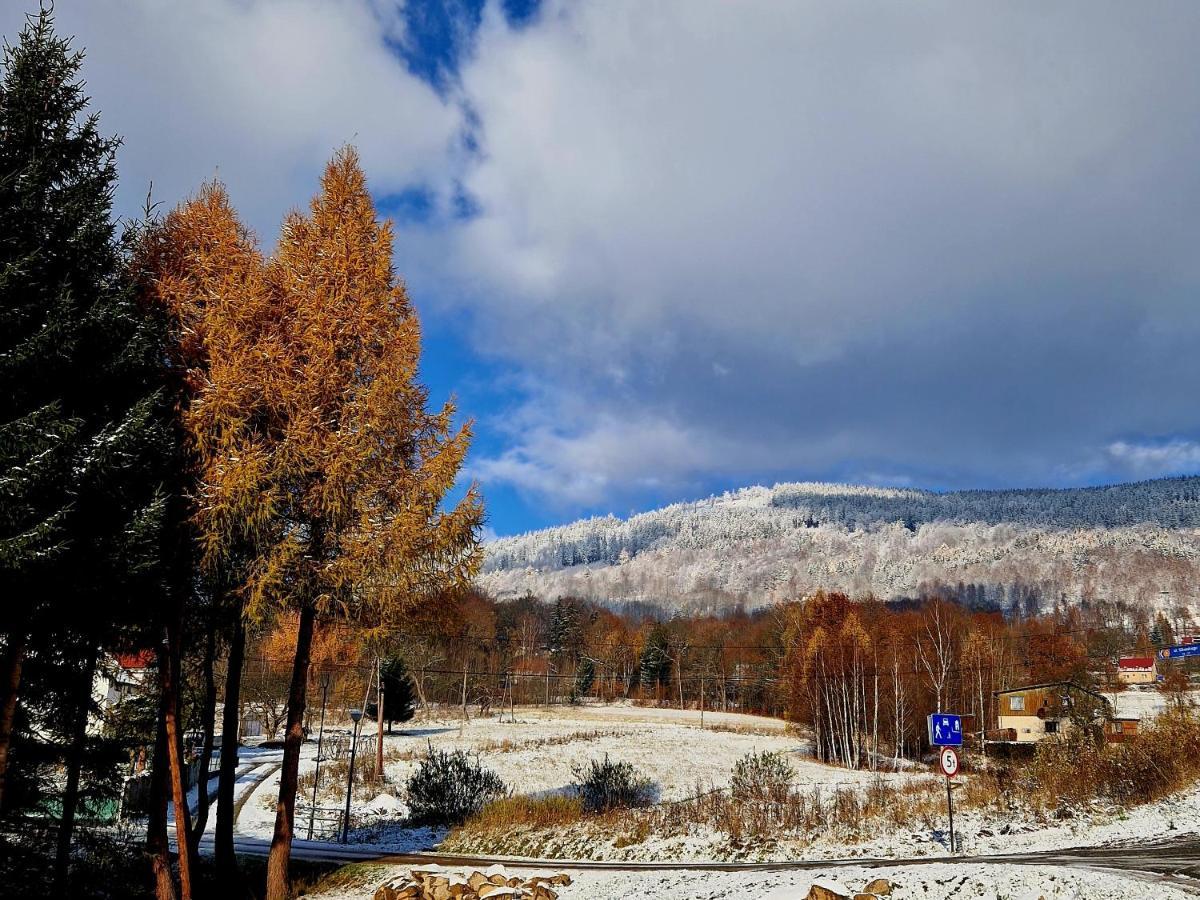 Apartament Mountains Gory Sowie Jugów 外观 照片