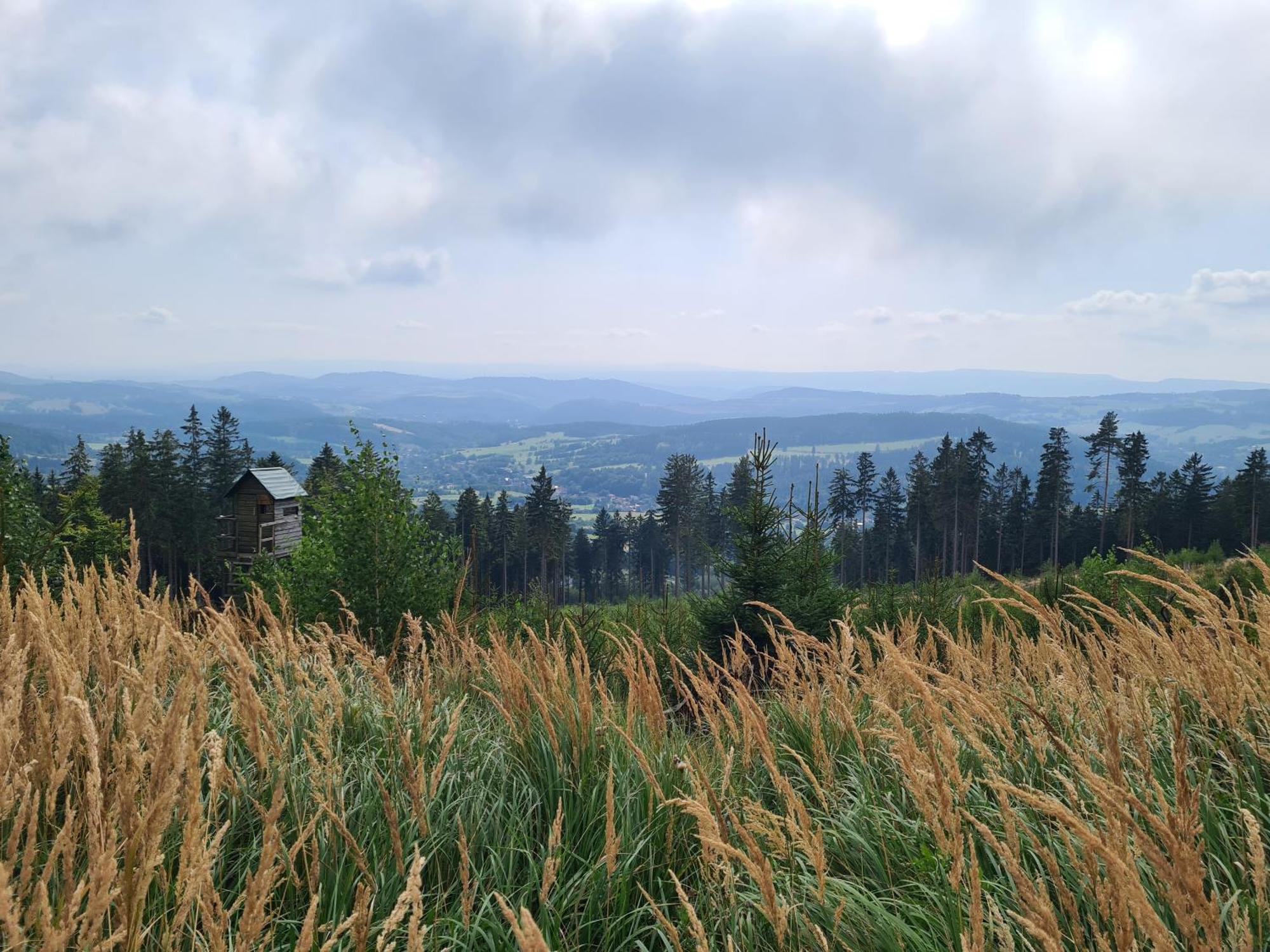 Apartament Mountains Gory Sowie Jugów 外观 照片